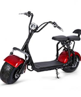 2 wheels 1000w 1500w 2000W 3000w electric scooter scooter with rain cover and DOT EEC COC certificate