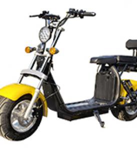 city scooter 1000W long range Electric Scooter, Electric motorcycle 