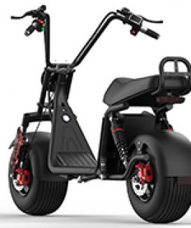 city scooter 1000W long range Electric Scooter, Electric motorcycle