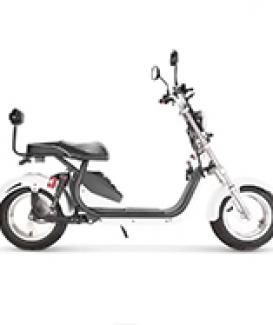 eHoodax China factory High Speed Custom electric scooter EEC COC 1500w 45km/h fast electric motorcycle for adult - 副本