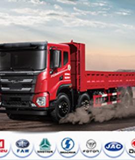  Dump Truck Lorry Crane Flat Dump Truck 
